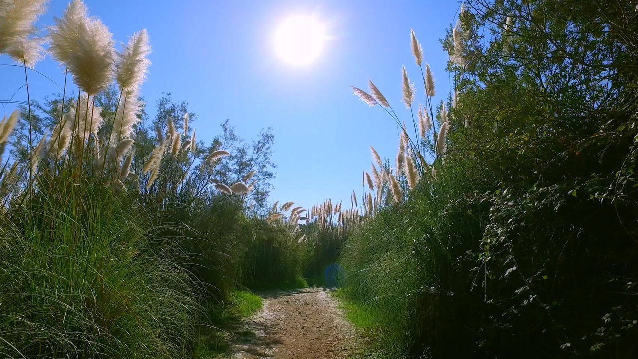סנט-לוסידה פורטו-וקיו Thalassa מראה חיצוני תמונה